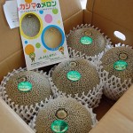 茨城県鹿嶋市「タカミメロン小5個」！子どもの誕生日に食べ放題しちゃいます！